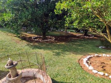 finca en venta en el palmar. Cod V16173