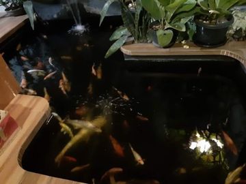 Rumah di Bintara Jaya Bekasi lokasi strategis bebas banjir