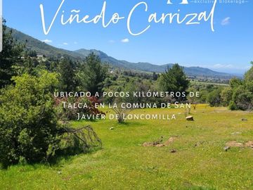 Parcela en Venta en 
