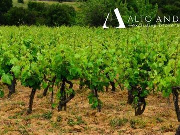 Parcela en Venta en 
