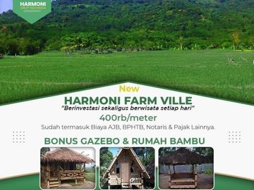 Investasi Tanah Kavling Sawah 1000m² dekat Wisata Jonggol