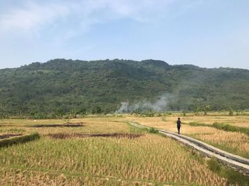 Investasi Tanah Kavling Sawah 1000m² dekat Wisata Jonggol