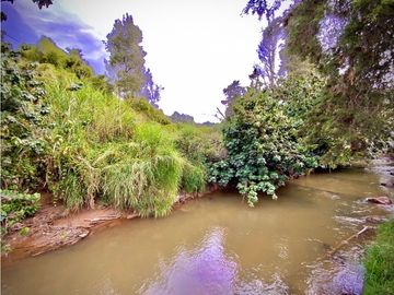 Casa Campestre con Quebrada Independiente Llanogrande