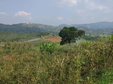 Dijual Cepat Tanah Pertanian Murah 200 Ha Di Cipanas Cianjur