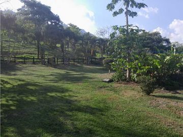 VENTA FINCA FREDONIA, SUROESTE ANTIOQUEÑO.