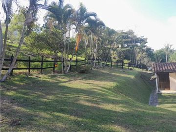 VENTA FINCA FREDONIA, SUROESTE ANTIOQUEÑO.