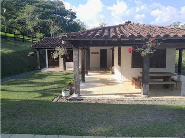 VENTA FINCA FREDONIA, SUROESTE ANTIOQUEÑO.