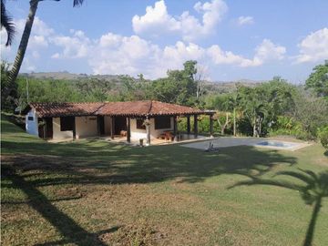 VENTA FINCA FREDONIA, SUROESTE ANTIOQUEÑO.