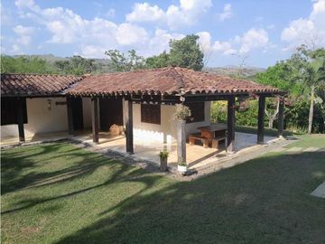 VENTA FINCA FREDONIA, SUROESTE ANTIOQUEÑO.