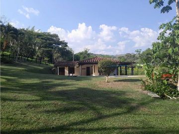 VENTA FINCA FREDONIA, SUROESTE ANTIOQUEÑO.