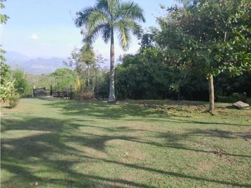 VENTA FINCA FREDONIA, SUROESTE ANTIOQUEÑO.