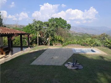 VENTA FINCA FREDONIA, SUROESTE ANTIOQUEÑO.