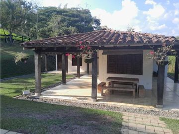VENTA FINCA FREDONIA, SUROESTE ANTIOQUEÑO.