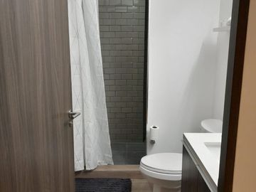 Renta de Departamento en Roma Norte