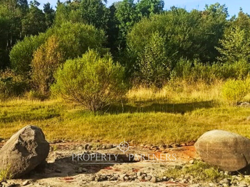 Precioso terreno con orilla de Lago Panguipulli