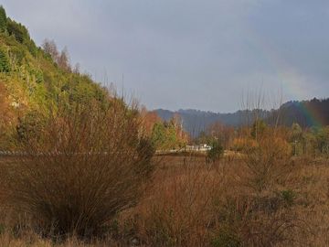 Espectacular Parcela De 1ha En Neltume, Panguipulli