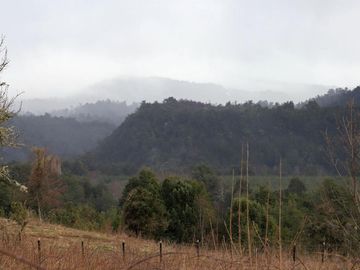 Espectacular Parcela De 1ha En Neltume, Panguipulli