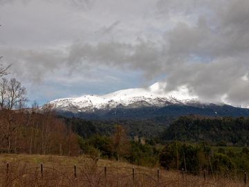 Espectacular Parcela De 1ha En Neltume, Panguipulli