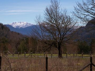 Espectacular Parcela De 1ha En Neltume, Panguipulli