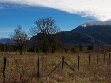 Espectacular Parcela De 1ha En Neltume, Panguipulli