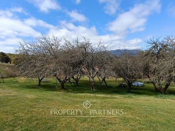 Amplia y comoda Casa en Panguipulli