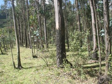Se Vende Terreno para Desarrollar en Tolontag