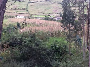 Se Vende Terreno para Desarrollar en Tolontag