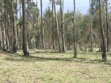 Se Vende Terreno para Desarrollar en Tolontag