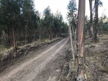 Se Vende Terreno para Desarrollar en Tolontag