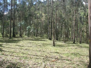 Se Vende Terreno para Desarrollar en Tolontag