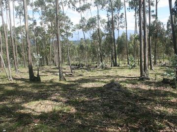 Se Vende Terreno para Desarrollar en Tolontag