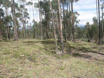 Se Vende Terreno para Desarrollar en Tolontag