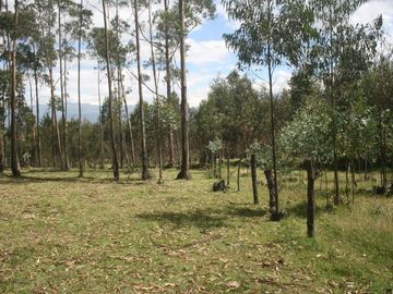 Se Vende Terreno para Desarrollar en Tolontag