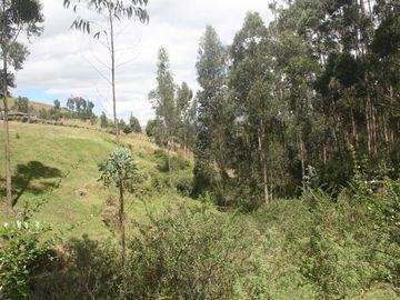 Se Vende Terreno para Desarrollar en Tolontag