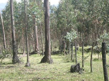 Se Vende Terreno para Desarrollar en Tolontag