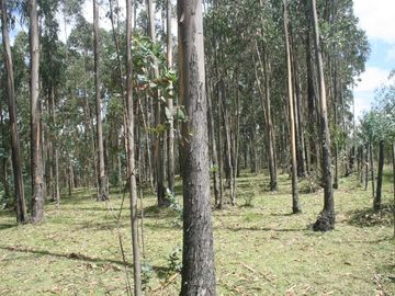 Se Vende Terreno para Desarrollar en Tolontag