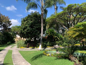 Buena Vista residencial  H1,