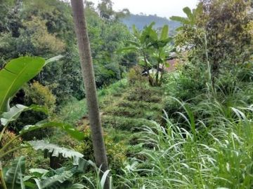 Tanah kemuning ngargoyoso 700m 350jt