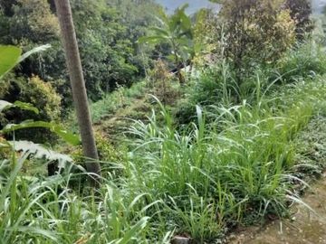 Tanah kemuning ngargoyoso 700m 350jt