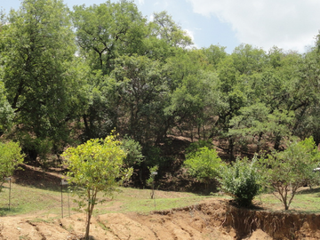 Quinta en Venta Allende $19,000,000
