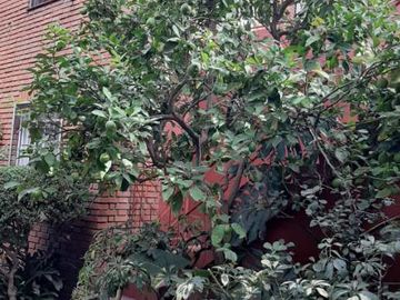 Casa para 2 Familias en venta en Avellaneda Este