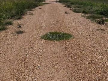 Venta Rancho con pista y hangar en Palizada
