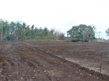 Kavling Cluster Perumahan Barat Bandara YIA, Siap Balik Nama
