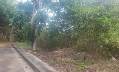 173 SQM Lot for Sale in Greenville Heights Consolacion Cebu