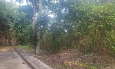 173 SQM Lot for Sale in Greenville Heights Consolacion Cebu