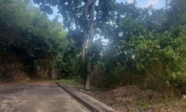 173 SQM Lot for Sale in Greenville Heights Consolacion Cebu