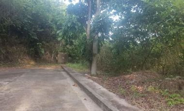 173 SQM Lot for Sale in Greenville Heights Consolacion Cebu