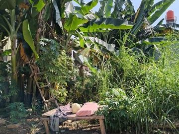 Dijual kavling dii mutiara ragunan jakarta selatan