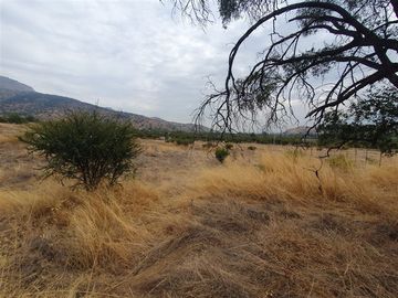 Parcela en Venta en Club de Golf Valle del Principal