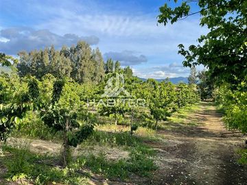 Parcela en Venta en SECTOR SANTA EMILIA